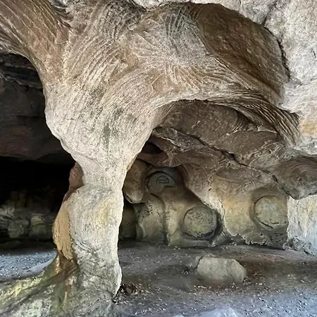 Burg מלון