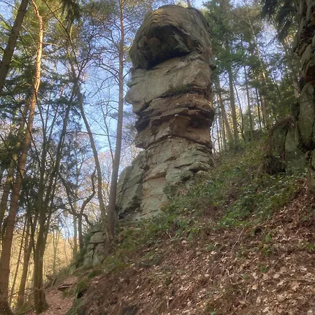 Burg