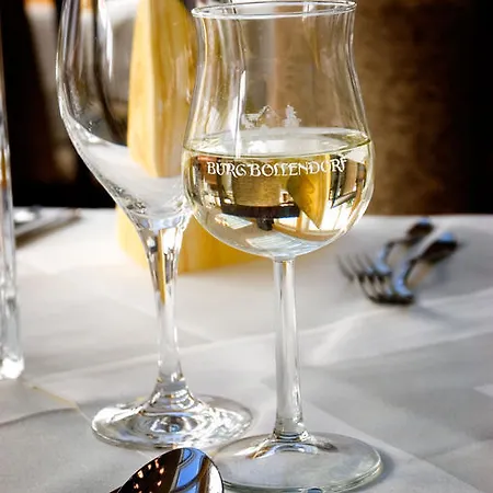 Hotel Burg Bollendorf